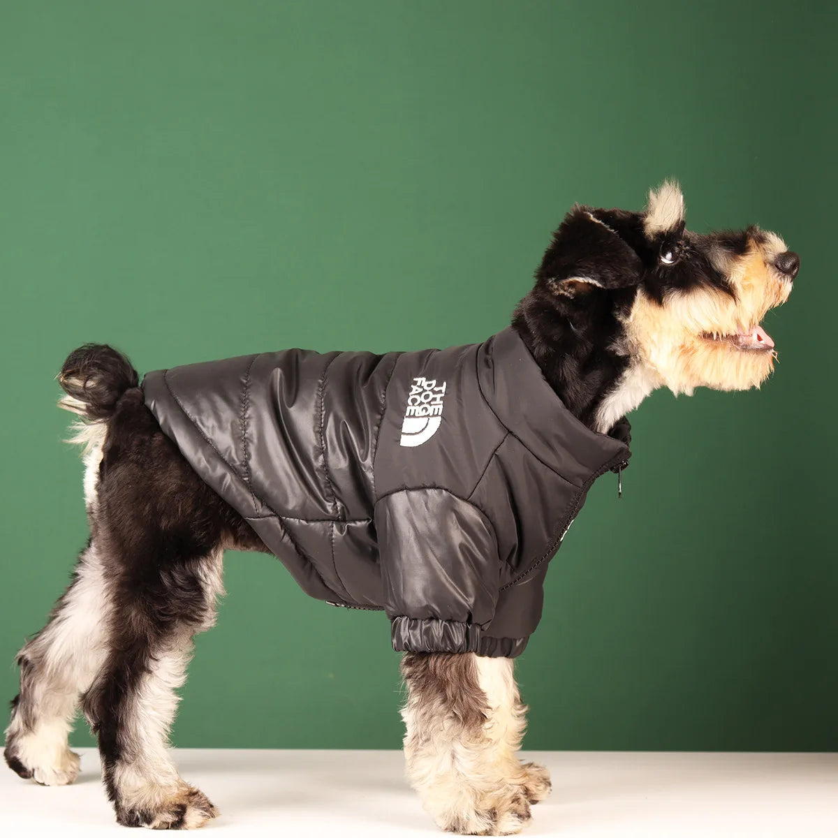 LEVAR Premium Winterjas voor Honden | Warm, Winddicht & Reflecterend